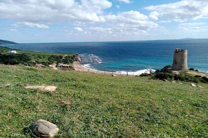 Landdistrikter / landbrugsjord til salg i Tarifa, Cádiz. 