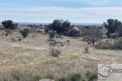 Plot for sale in Casarrubios del Monte, Toledo. 