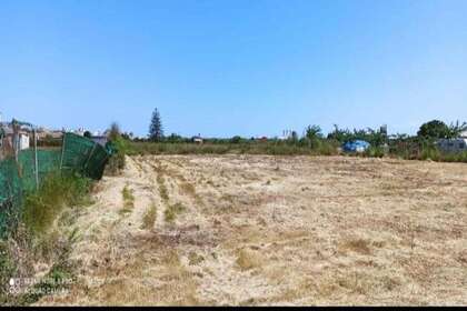 Rural/Agricultural land for sale in Cullera, Valencia. 
