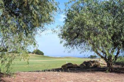 Cluster house in San Roque, Cádiz. 