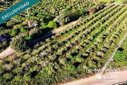 Venkovské / zemědělské půdy na prodej v Dénia, Alicante. 