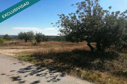 Venkovské / zemědělské půdy na prodej v Godelleta, Valencia. 