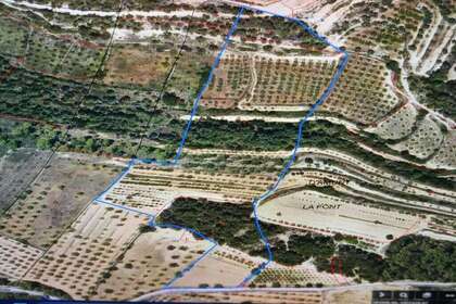 Venkovské / zemědělské půdy na prodej v Vilalba dels Arcs, Tarragona. 