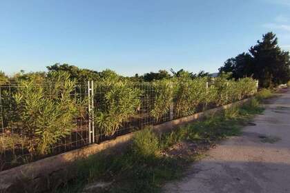 Venkovské / zemědělské půdy na prodej v Cullera, Valencia. 