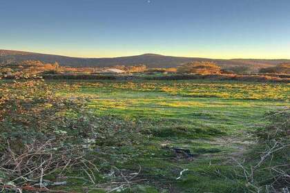 Terreno rústico/agrícola venta en Lama (A), Pontevedra. 