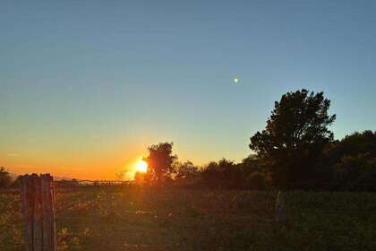 Terreno rústico/agrícola venta en Lama (A), Pontevedra. 