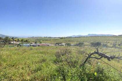 Parcela/Finca venta en Cartama, Málaga. 