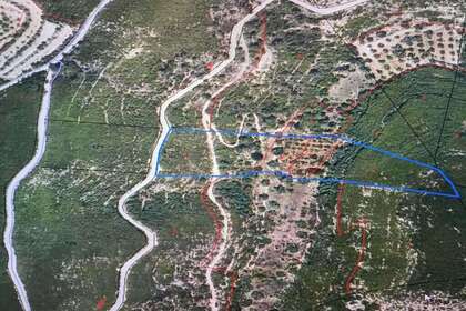 Rural/Agricultural land for sale in Vilalba dels Arcs, Tarragona. 