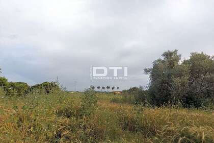 Plot for sale in San Bartolomé de la Torre, Huelva. 