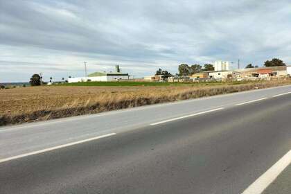 Plot for sale in Palma del Condado (La), Huelva. 