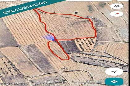 Rural/Agricultural land for sale in Monóvar/Monòver, Alicante. 