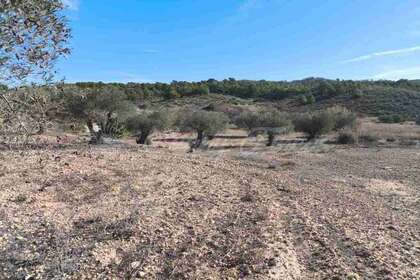 Rural/Agricultural land for sale in Yecla, Murcia. 