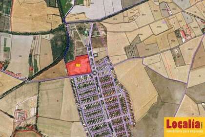 情节 出售 进入 Valladolid. 