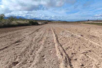 Rural/Agricultural land for sale in Millena, Alicante. 