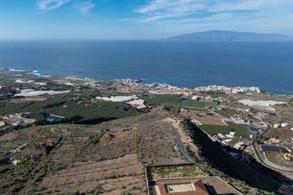 农业用地 出售 进入 Guía de Isora, Santa Cruz de Tenerife, Tenerife. 
