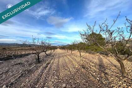 Rural/Agricultural land for sale in Monóvar/Monòver, Alicante. 
