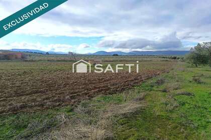 Rural/Agricultural land for sale in Navalucillos (Los), Toledo. 