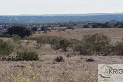 Plot for sale in Casarrubios del Monte, Toledo. 