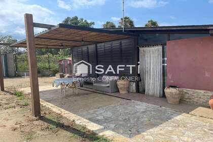 Landdistrikter / landbrugsjord til salg i Amposta, Tarragona. 