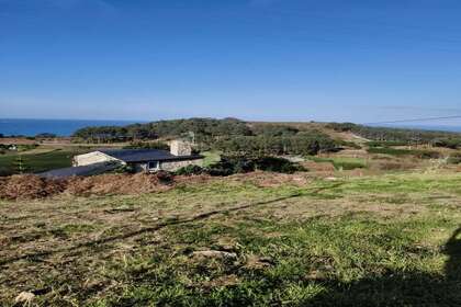 Parcelle urbaine vendre en San Cibrao (Friol), Lugo. 