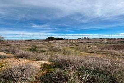 Terreno rústico/agrícola venta en Albatàrrec, Lérida (Lleida). 