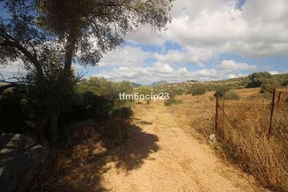 Rural/Agricultural land for sale in Casares, Málaga. 