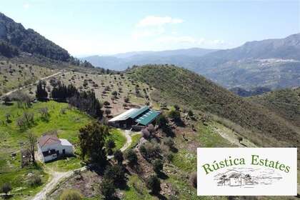 Casa de campo venta en Benalauría, Málaga. 