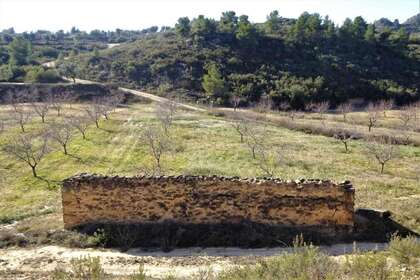 Rural/Agricultural land for sale in Cella, Teruel. 