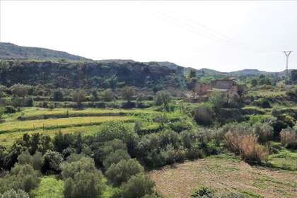 Rural/Agricultural land for sale in Caspe, Zaragoza. 