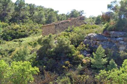 Rural/Agricultural land for sale in Cella, Teruel. 