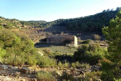 Rural/Agricultural land for sale in Cella, Teruel. 