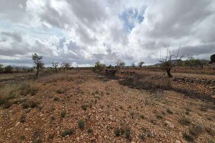 Residential land for sale in Pinoso, Alicante. 