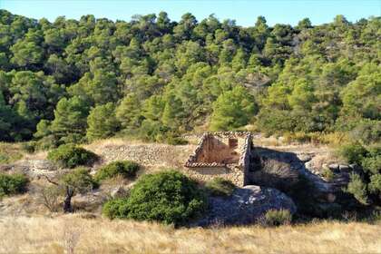 Rural/Agricultural land for sale in Cella, Teruel. 