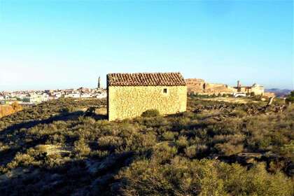 Rural/Agricultural land for sale in Cella, Teruel. 