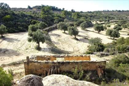 Rural/Agricultural land for sale in Cella, Teruel. 