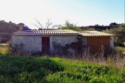 Rural/Agricultural land for sale in Cella, Teruel. 