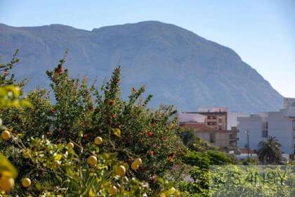 Terreno rústico/agrícola venta en Gata de Gorgos, Alicante. 