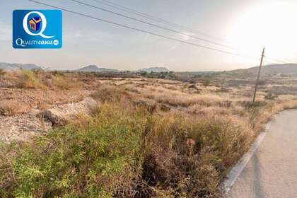 Rural/Agricultural land for sale in Alicante/Alacant. 