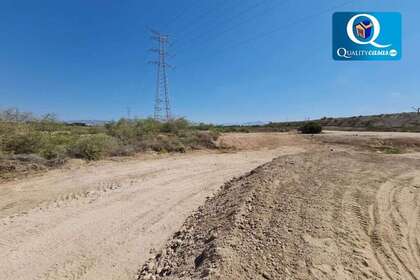 Rural/Agricultural land for sale in Alicante/Alacant. 