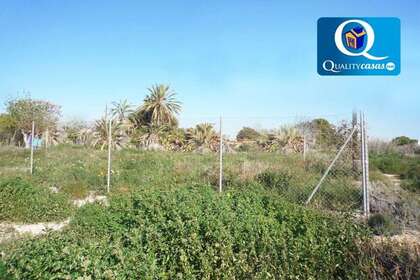 Rural/Agricultural land for sale in Mutxamel/Muchamiel, Alicante. 