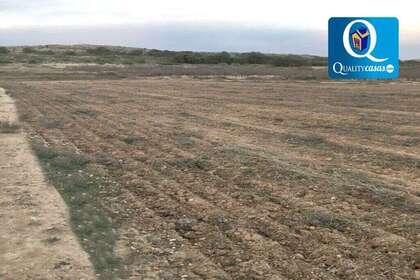 Rural/Agricultural land for sale in Derramador (elche) (pda), Alicante. 