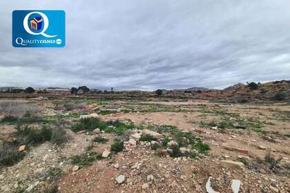 Rural/Agricultural land for sale in Novelda, Alicante. 
