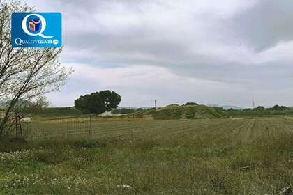 Rural/Agricultural land for sale in Villena, Alicante. 
