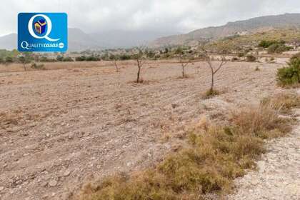 Rural/Agricultural land for sale in Alicante. 