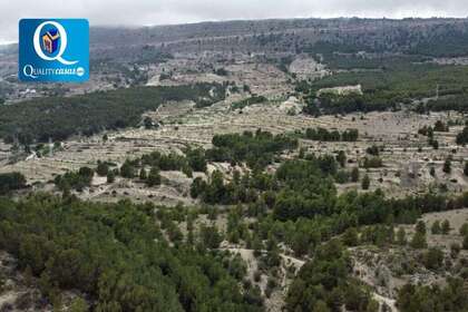 Rural/Agricultural land for sale in Jijona/Xixona, Alicante. 