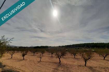Residential land for sale in Almansa, Albacete. 