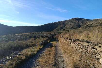 Rural/Agricultural land for sale in Cadaqués, Girona. 