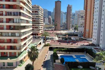 Appartamento 1bed vendita in Benidorm, Alicante. 