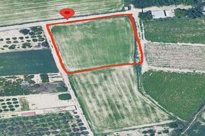 Rural/Agricultural land for sale in Molina de Segura, Murcia. 