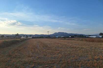 Rural/Agricultural land for sale in Puerto Lumbreras, Murcia. 